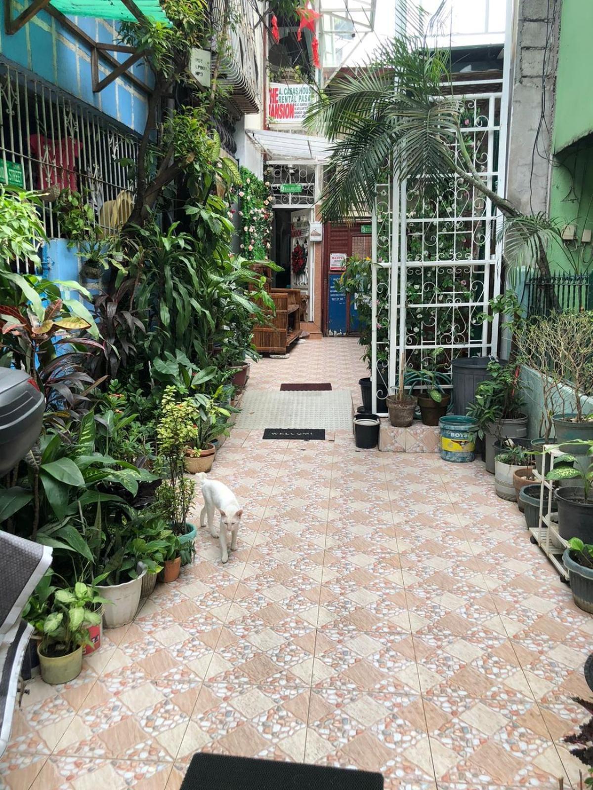 THE MANSION - BACKPACKERS NEAR AIRPORT BUDGET BIG HOUSE - 12 Pax Manila Ngoại thất bức ảnh